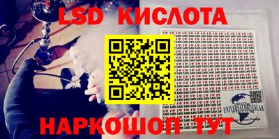 дживик Можга