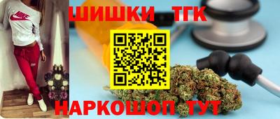 дживик Можга