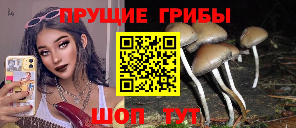 Галлюциногенные грибы мицелий  Вход с VPN  Усть-Джегута 