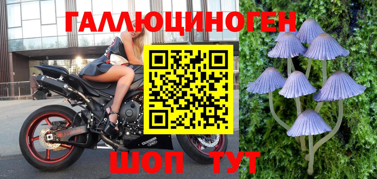 Псилоцибиновые грибы GOLDEN TEACHER Усть-Джегута